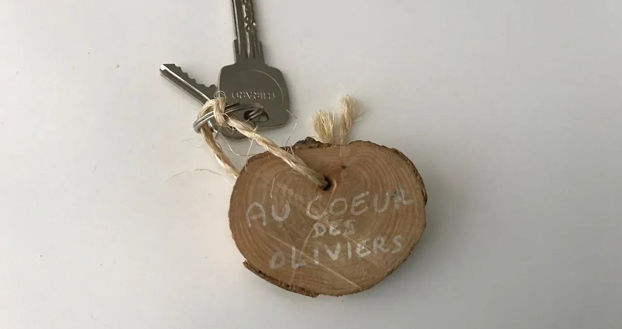 Chambre D Hotes Au Coeur Des Oliviers Marseille 0*,  France
