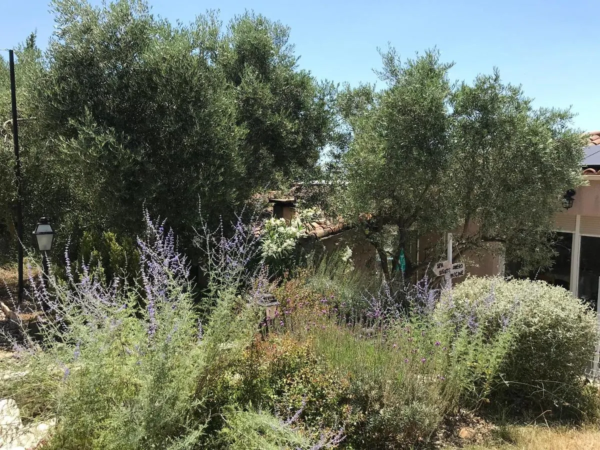 Chambre D Hotes Au Coeur Des Oliviers Marseille